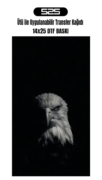 Ütü Ile Yapışan Tekstil Dtf Baskı Tişört Baskısı